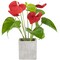 Northlight 12" Red Anthurium Spring Floral Artificial Plant in a Square Pot